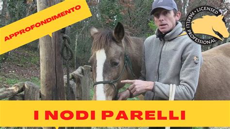 I nodi Parelli: i nodi fondamentali da conoscere .